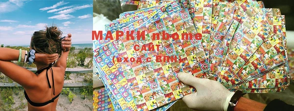 прущие грибы Зарайск