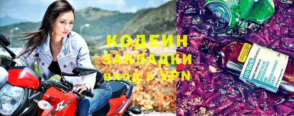 гашик Заполярный