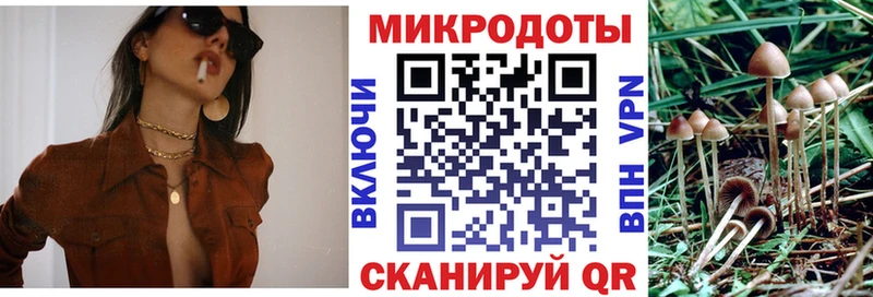 Галлюциногенные грибы Cubensis hydra Ковылкино